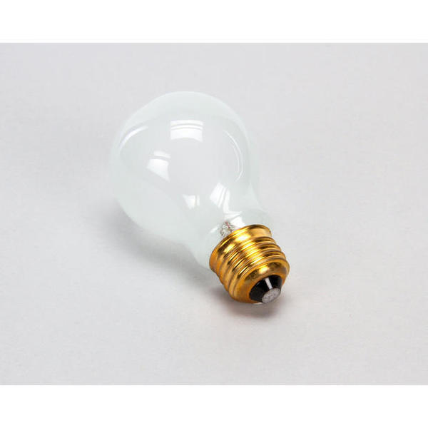 Wells Frstd Lightbulb/100W-230V 2S-305100